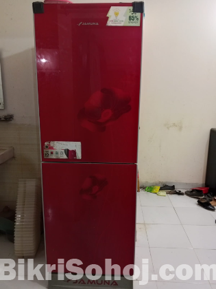 Jamuna Fridge